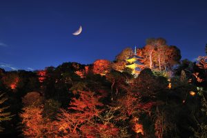 Hotel Chinzanso Tokyo