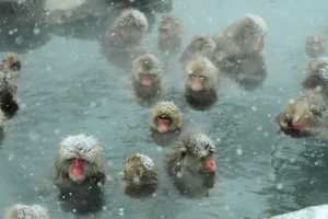 Travel Aggregator October 2019 issue out now