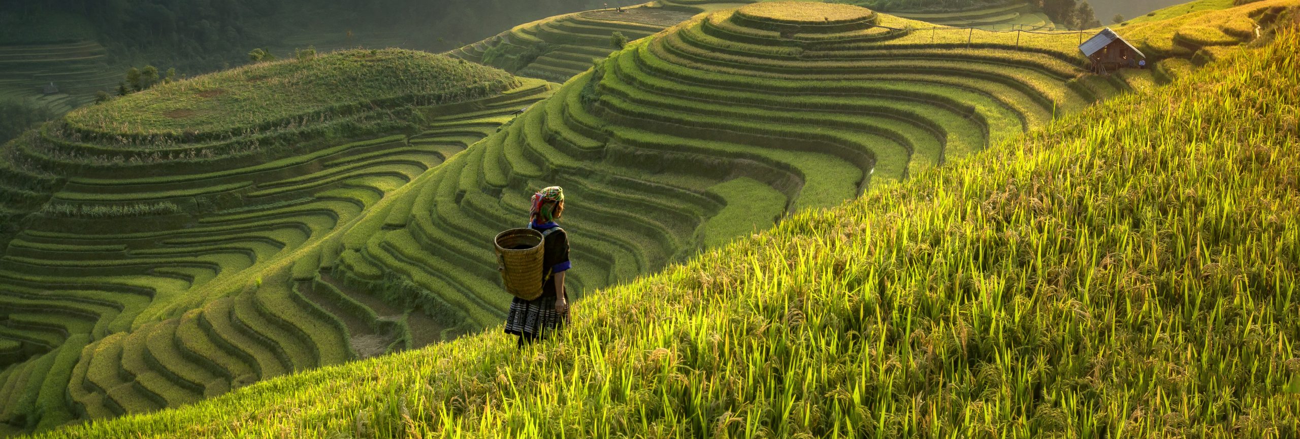 Travel Aggregator May 2021 issue out now!