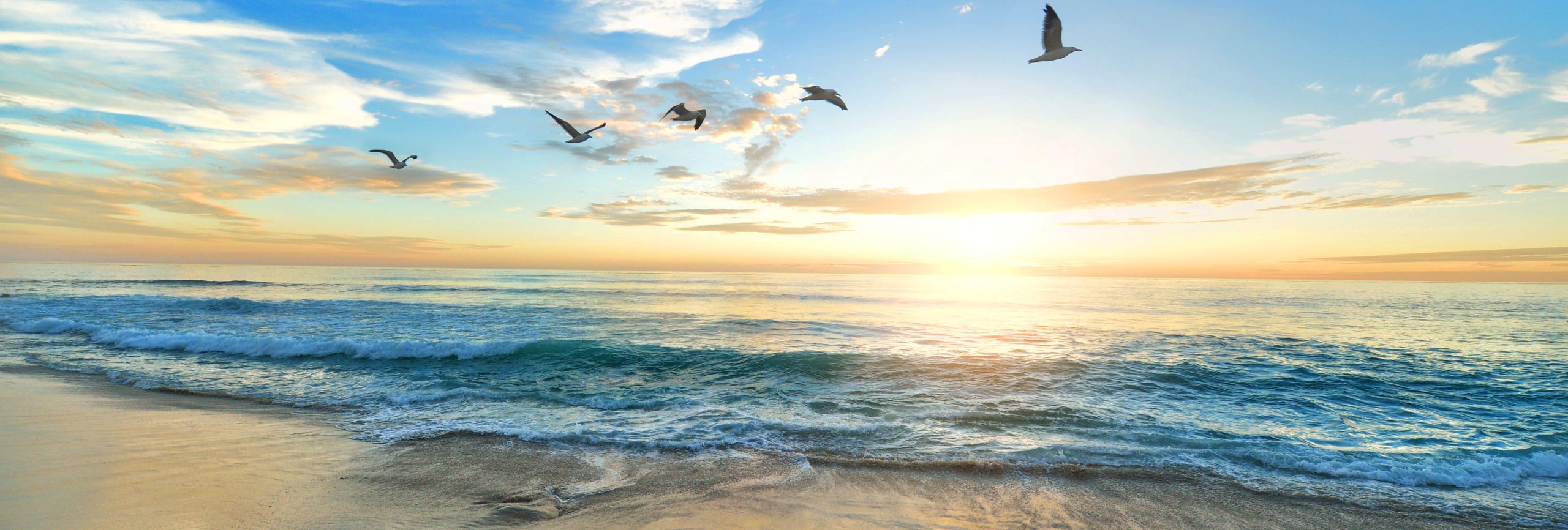 The Best of Nature in Asia Pacific