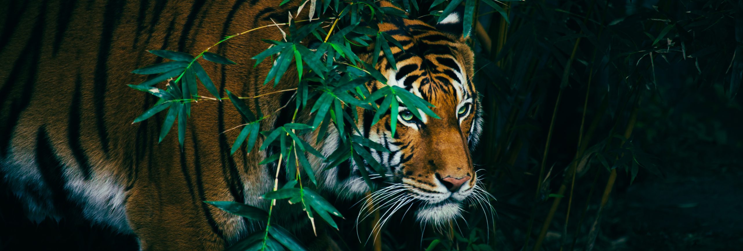 Travel Aggregator October 2022 issue out now!