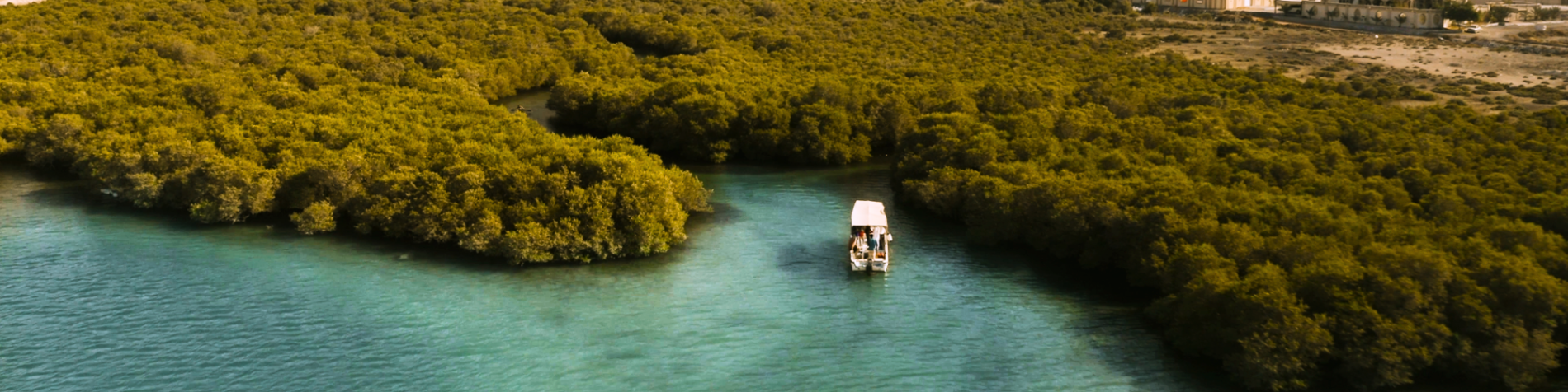 MEA Marketing 1900x476 (7)