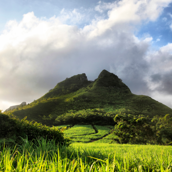 Mauritius 1