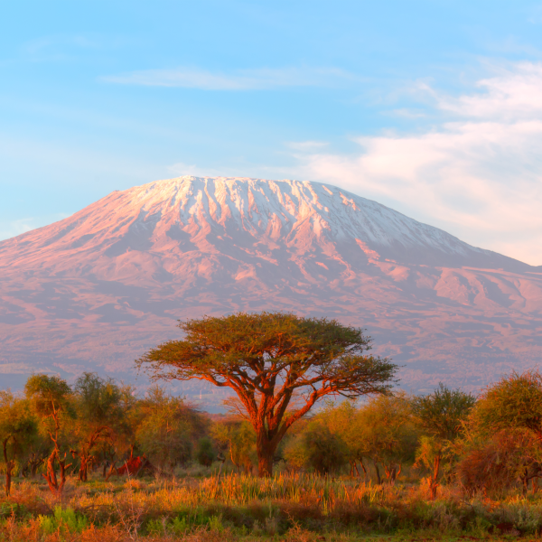 Tanzania 1