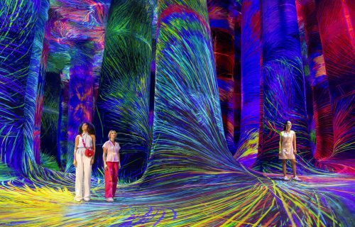 Totally Recommended - teamLabs Phenomena Abu Dhabi - 16x9